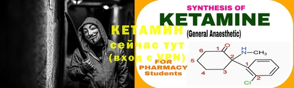 гидра Бородино