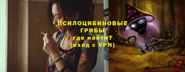 шишки Верхнеуральск