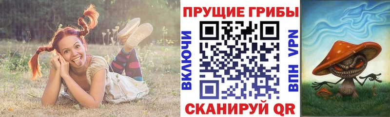 мориарти состав  Черноголовка  Галлюциногенные грибы Cubensis 
